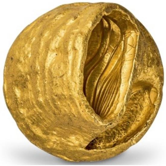 马蹄金-1